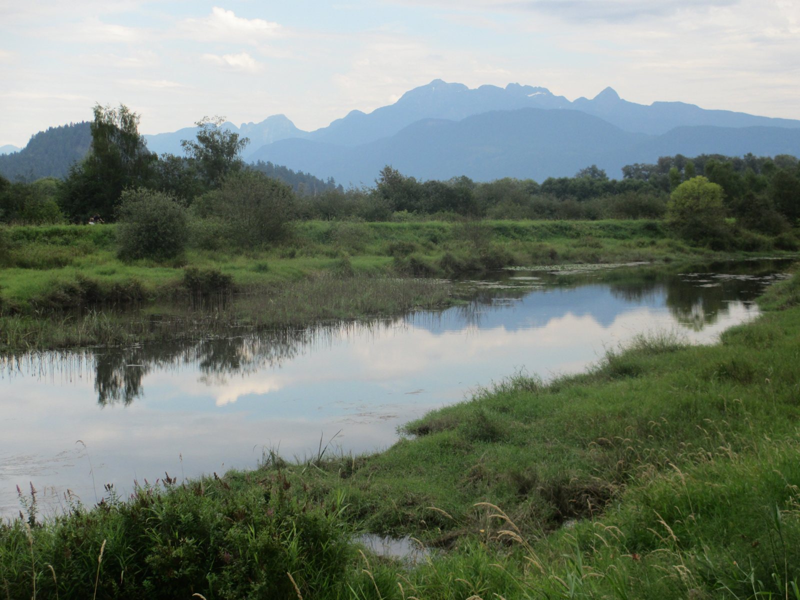 The wetlands along the Traboulay PoCo Trail, with the mountains behind