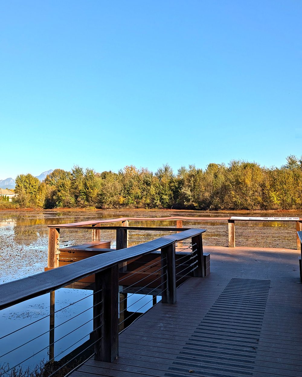 The boardwalk lookout over the lagoon at Blakeburn Lagoons Park
