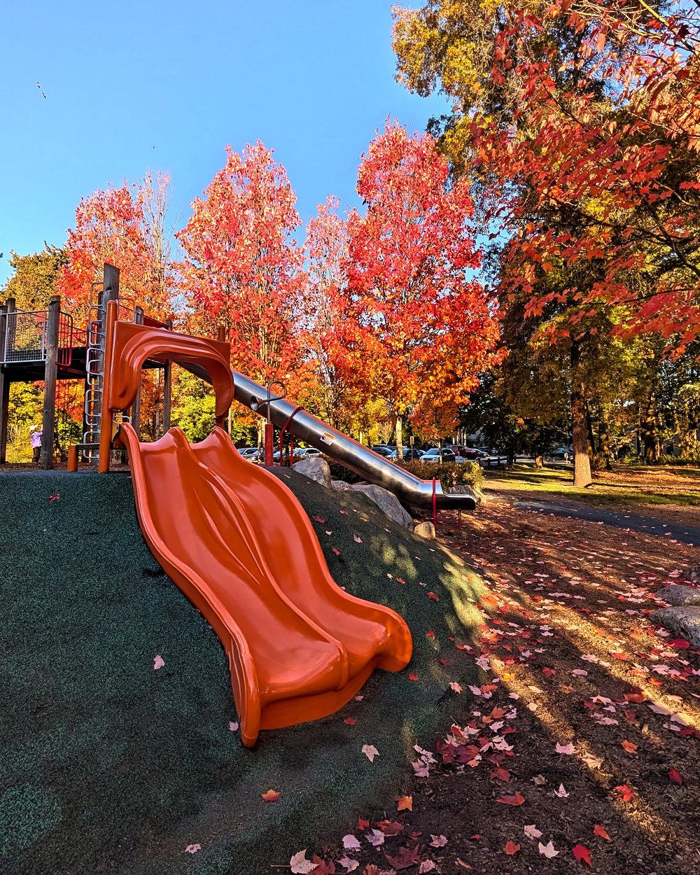 The orange slide at the Lions Park adventure playground, under red maples