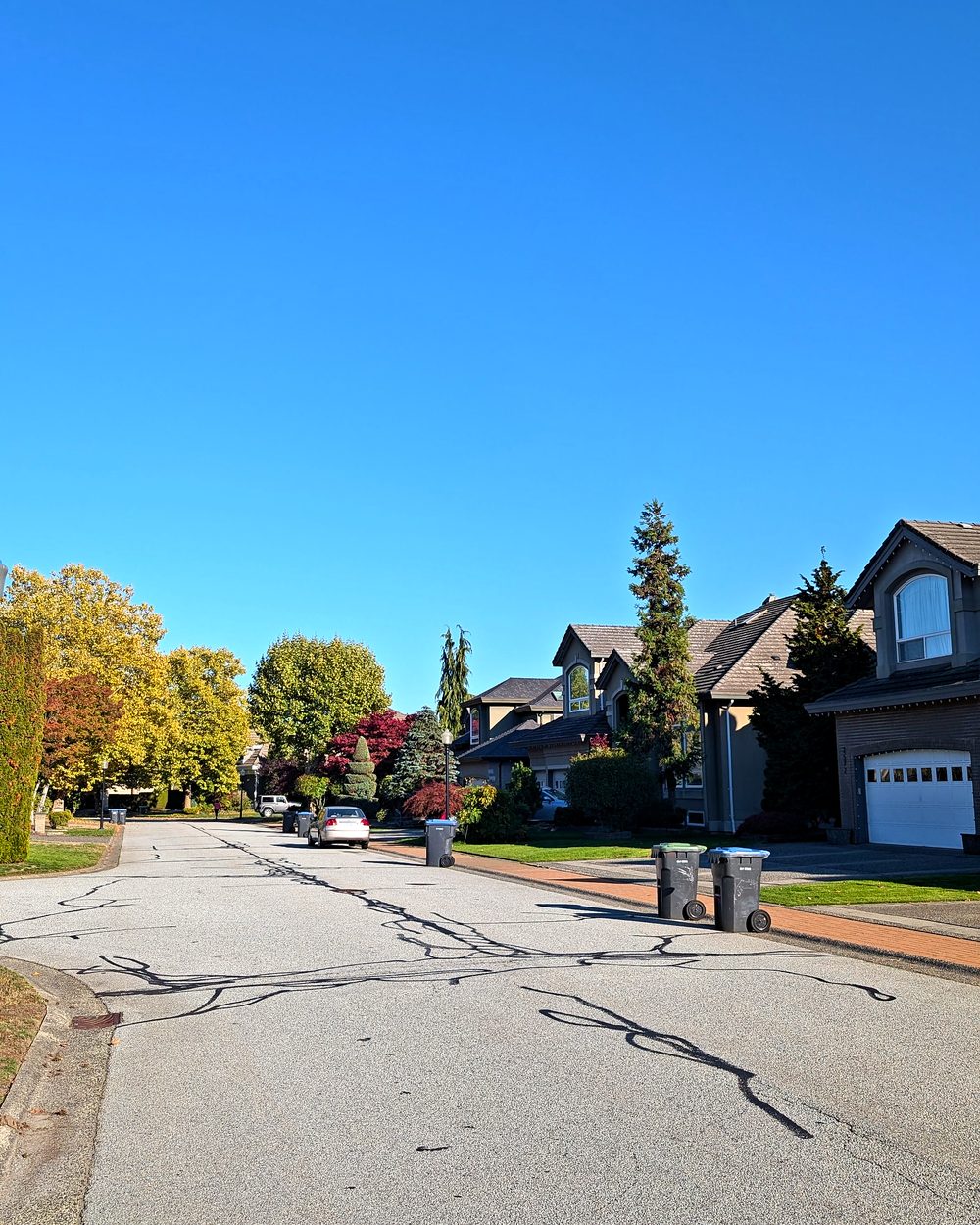 A street of two-storey family homes in Port Coquitlam