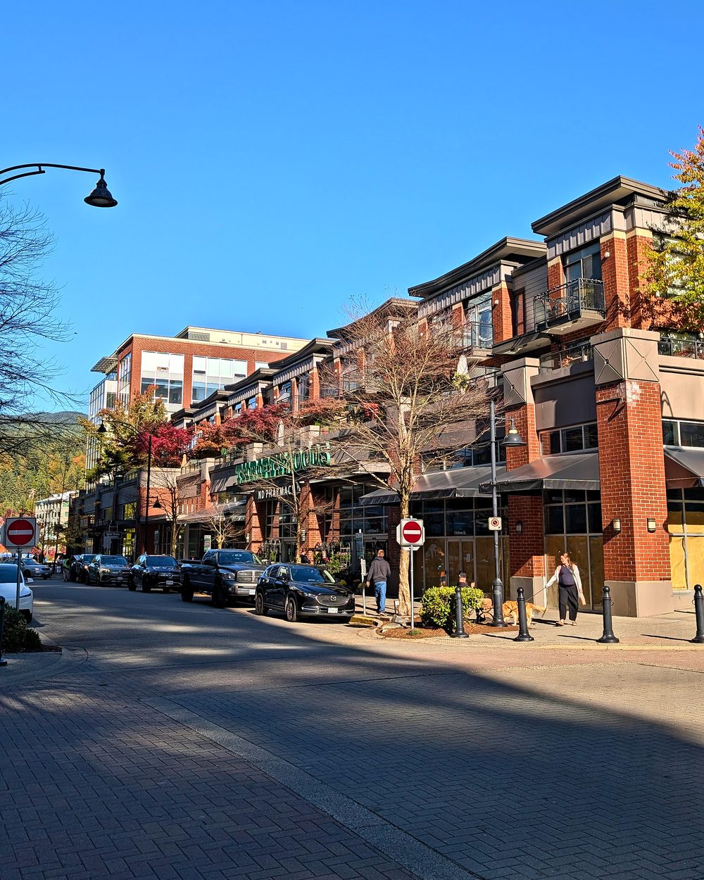 The brick shopfronts of Suter Brook Village
